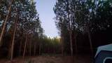6004 Old Hohenwald Rd - Photo 14