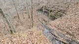 6004 Old Hohenwald Rd - Photo 16