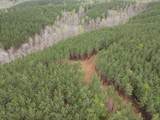 6004 Old Hohenwald Rd - Photo 18