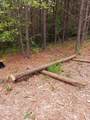 6004 Old Hohenwald Rd - Photo 21