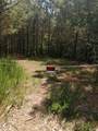 6004 Old Hohenwald Rd - Photo 22