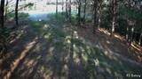 6004 Old Hohenwald Rd - Photo 4