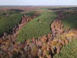 6004 Old Hohenwald Rd - Photo 33