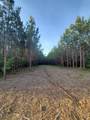 6004 Old Hohenwald Rd - Photo 7