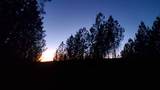 6004 Old Hohenwald Rd - Photo 10