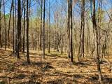 470 Hagler Ridge Rd - Photo 12