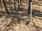 470 Hagler Ridge Rd - Photo 18