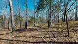 1461 Southside Rd - Photo 11