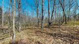 1461 Southside Rd - Photo 10