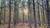 0 North Fork Road - Photo 12
