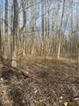 4401 Spring Creek Road - Photo 16