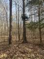4401 Spring Creek Road - Photo 7