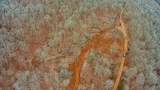 0 Ridgetop Dr - Photo 6