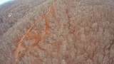 0 Ridgetop Dr - Photo 8