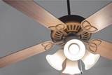 1841 Darlington Dr - Photo 13