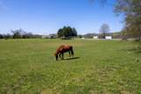 5555 New Harmony Rd - Photo 31