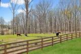 7461 Crow Cut Rd - Photo 83