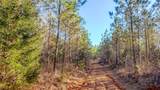 0 Jeanette Holladay Rd - Photo 4