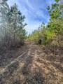 0 Jeanette Holladay Rd - Photo 19