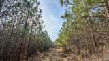 0 Jeanette Holladay Rd - Photo 4