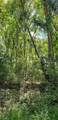 0 Treeline Drive - Photo 2