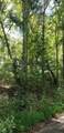 0 Treeline Drive - Photo 4