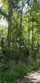 0 Treeline Drive - Photo 5