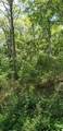 0 Treeline Drive - Photo 6
