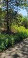 0 Treeline Drive - Photo 4