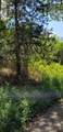 0 Treeline Drive - Photo 5