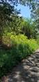 0 Treeline Drive - Photo 6