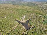 1595 N Campbell Rd - Photo 62