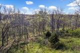 1624 Bartlett Hollow Rd - Photo 4