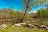 1037 Periwinkle Pl - Photo 45