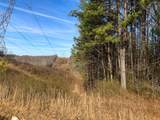 0 Bear Hollow Drive - Photo 6