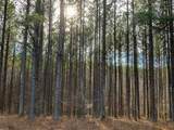 0 Bear Hollow Drive - Photo 9