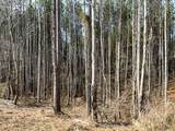 0 Bear Hollow Drive - Photo 36