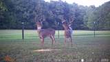 1421 Marable Rd - Photo 58