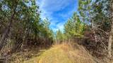 0 Jeannette Holladay Rd - Photo 11