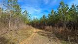 0 Jeannette Holladay Rd - Photo 13