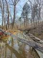 0 Jeannette Holladay Rd - Photo 19