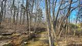 0 Jeannette Holladay Rd - Photo 24