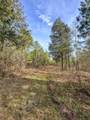 0 Jeannette Holladay Rd - Photo 35