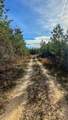 0 Jeannette Holladay Rd - Photo 9