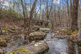 558 Hanging Rock Dr - Photo 49