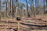 8 Long Mountain Trl - Photo 15