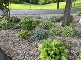 4565 Thomasville Rd - Photo 83