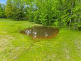 2037 Ogburn Chapel Rd - Photo 48