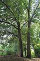 167 Taft Dr - Photo 14