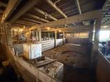5 Carol Rd - Photo 49